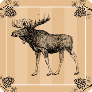 Moose Coasters (Gift Box of4) Min 6