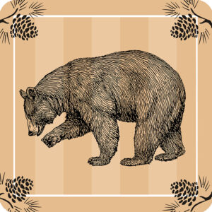 Bear Coasters (Gift Box of4) Min 6