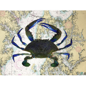 Blue Crab Outdoora TM Fabric Indoor/Outdoor Placemats  (Pack of 6)