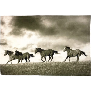 Horses Run Outdoora TM Fabric Placemats (Pack of 6)